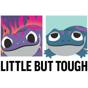 Disney Frozen II Bruni Art Wii (Includes 1 Controller) Skin